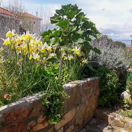 Anassa's - άνασσα Katsíngrion