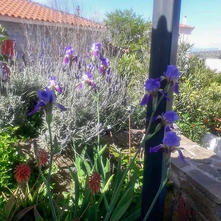 Anassa's - άνασσα Άγιος Ανδριανός