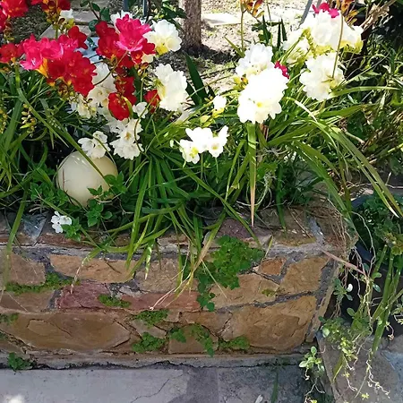 Anassa's - άνασσα Katsíngrion