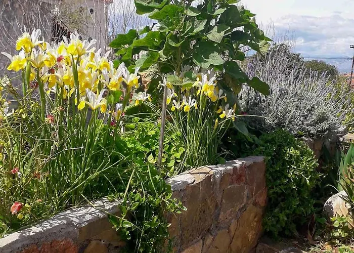 Anassa's - άνασσα Katsíngrion