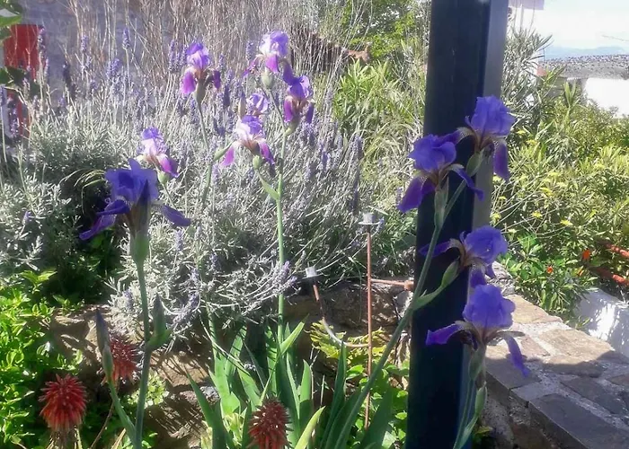 Anassa's - άνασσα Katsíngrion