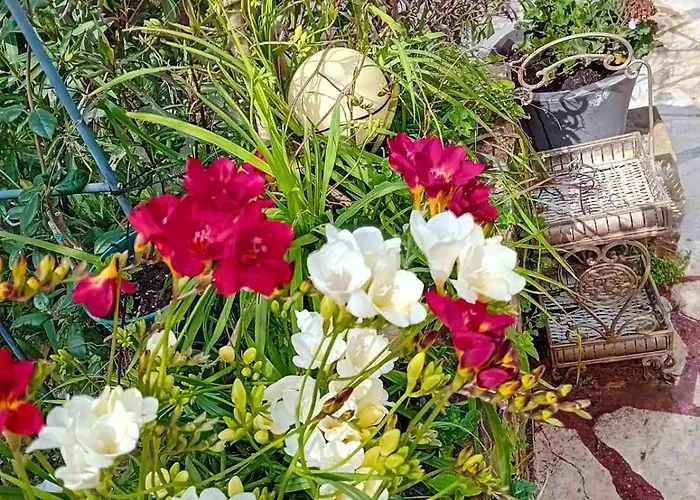 Appartamento Anassa's - άνασσα