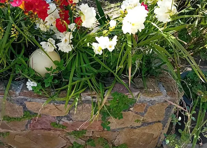 Anassa's - άνασσα Katsíngrion